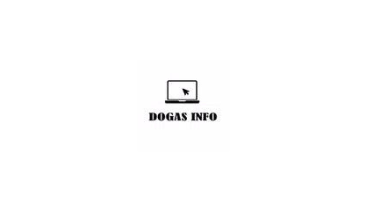 تحميل تطبيق دوغاس انفو متجر العاب وتطبيقات .. تنزيل Dogas Info Apk للاندرويد والايفون برابط مباشر 2023
